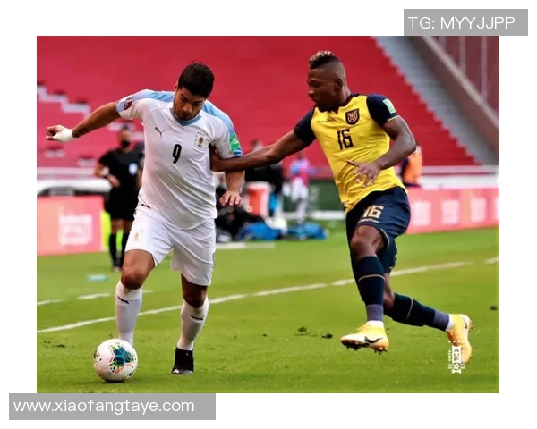 2019年乌拉圭与厄瓜多尔精彩对决回顾与分析