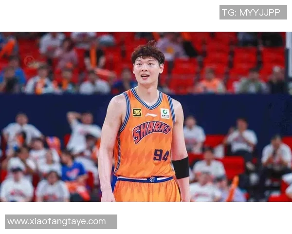 王哲林领衔中国男篮新征程展现实力与决心的光辉时刻